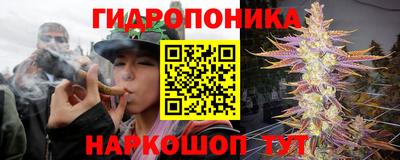 гашик Бийск