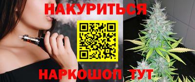гашик Бийск