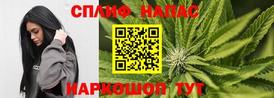 гашик Бийск