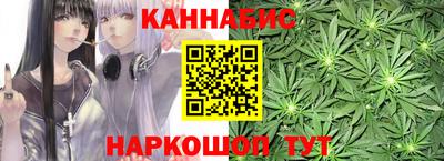 гашик Бийск