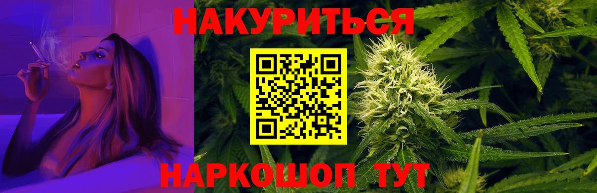 Канабис семена Зеленогорск